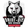 Saint Die des Vosges (Ж)