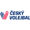 Суперкубок